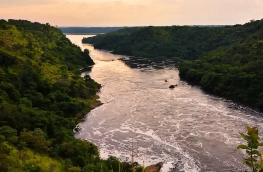 The Nile River winding through lush green hills. The sky and lighting suggest it is evening time.